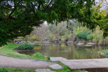 Rivington 'daki Japonya tarzı parkın güzel manzarası - Bolton - Kuzey Batı - Büyük Britanya