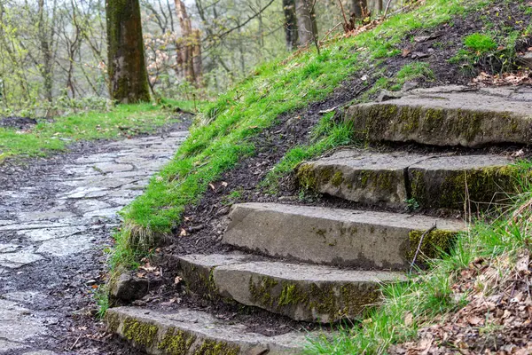 Rivington 'daki dağ ormanına merdivenler - Bolton - Kuzey Batı - Büyük Britanya