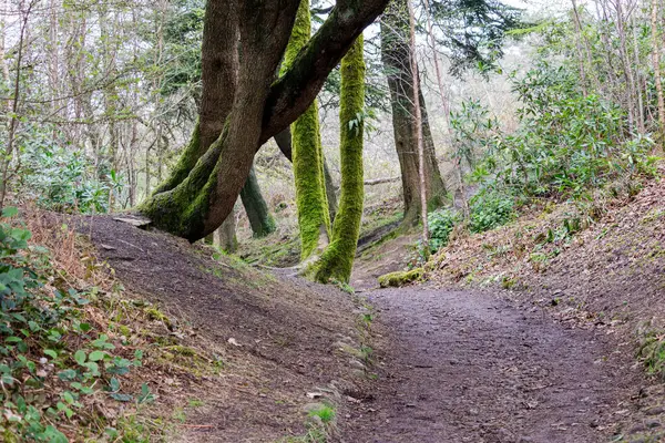 Rivington 'daki dağların güzel manzarası - Bolton - Kuzey Batı - Büyük Britanya