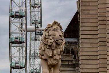  Büyük göz aslanı, Londra, birleşik krallık manzarası. Londra - Büyük Britanya