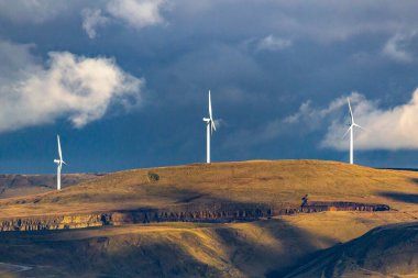 Holcombe - Büyük Manchester - Lancashire - Birleşik Krallık 'ta bulutlu bir günde tepenin üstünde yeşil ağaçlar olan rüzgar türbinlerinin dikey çekimi