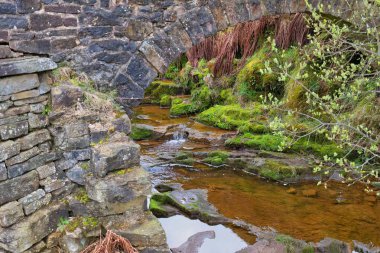 Cheesden Vadisi 'nde Rochdale - Büyük Manchester - Lancashire - Birleşik Krallık