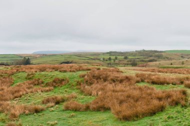 Cheesden Valley 'deki dağların güzel manzarası - Rochdale - Büyük Manchester - Lancashire - Birleşik Krallık