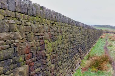 beautiful view of the stone  wall with moss in Cheesden Valley - Rochdale - Greater Manchester - Lancashire - United Kingdom clipart