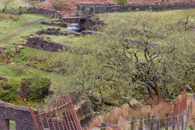 Cheesden Valley - Rochdale - Büyük Manchester - Lancashire - Birleşik Krallık