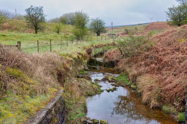 the river in Cheesden Valley - Rochdale - Greater Manchester - Lancashire - United Kingdom clipart