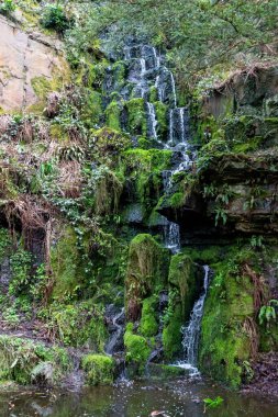 Williamson Park 'taki ormanda şelale - Lancaster - Lancashire - Kuzey Batı İngiltere