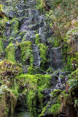 waterfall in the park in Williamson Park - Lancaster - Lancashire - North West - United Kingdom clipart