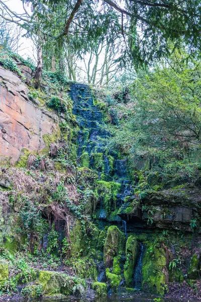 Williamson Park 'taki ormanda şelale - Lancaster - Lancashire - Kuzey Batı İngiltere