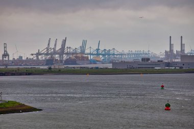 Hollanda 'nın Rotterdam kenti - Hoek van Holland - Rotterdam - Avrupa Birliği