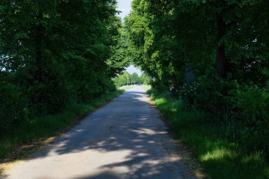 Meiningsen- Soest - Mhnesee - Kuzey Ren-Vestfalya - Almanya - Avrupa Birliği