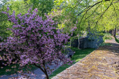 Kuzey Ren-Vestfalya - Almanya - Avrupa Birliği