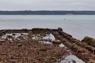 Poole - Dorset 'teki deniz kıyısı manzarası Bournemouth birleşik krallığı