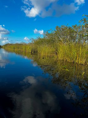 Uzun otlar, Florida 'daki Everglades Ulusal Parkı' nın sularıyla sınırdır.