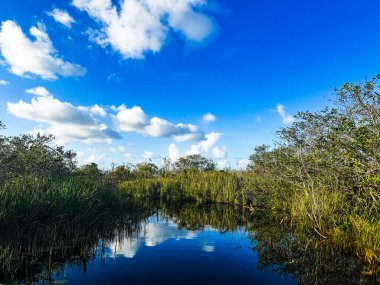 Güzel mavi bir gökyüzü, Florida, ABD 'deki Everglades Ulusal Parkı' nın sularına yansıyor.