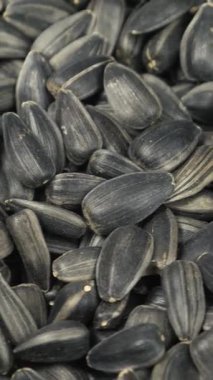 Doku ya da arka plan için siyah ayçiçeği tohumları. Petrol üretimi ve hasat vurgulandı. Organik gıda konsepti doğal kaliteyi vurgular. Besin açısından zengin ve sağlıklı beslenme için gerekli.