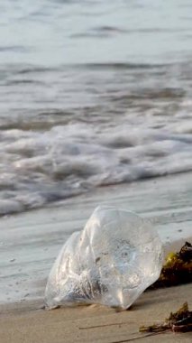 Boş plastik şişeler kum kumsalını doldurur. Kirlilik çevresel sorunu vurguluyor. Yeşil gezegen kavramı daha temiz uygulamalara ihtiyaç olduğunu vurguluyor. Doğal habitatları korumak için acil eylem gereklidir.