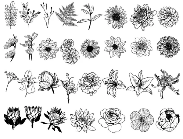 Ένα Σύνολο Από Διανυσματικά Γραμμικά Ζωγραφισμένα Στο Χέρι Σχέδια Λουλουδιών — Διανυσματικό Αρχείο