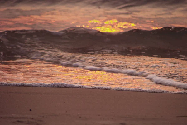 Seascape Restless Pink Water Sunlight Wet Sand Sea Storm Dusk — Stock Photo, Image