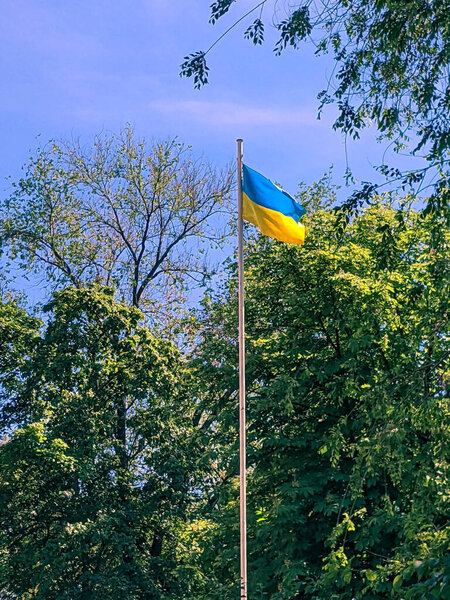 The Ukrainian flag is flying on the flagpole around the lush green trees of the bright blue daytime sky.