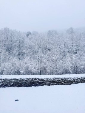 Winter landscape with horisontal lines. No sun winter. Rothko winter. High quality photo. Vertical image clipart