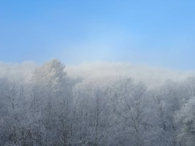 Mavi gökyüzü ve güneşli yumuşak atmosferik kış. Yüksek kalite fotoğraf