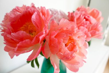 Çiçek açmış yemyeşil şakayıklardan oluşan bir yakın plan, yeşil bir vazoya yerleştirilmiş, hassas yapraklar ve yumuşak, romantik bir ortam.