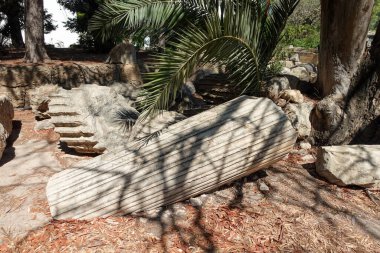 Kayalar, palmiye ağaçları ve benekli güneş ışığıyla çevrili büyük, flütlü taş bir sütun yıkıntılar arasında yatıyor..