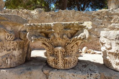 Yıpranmış bir Corinthian sütun başkenti. Karmaşık oymalarla harabeler arasında, yemyeşil ve tarihsel kalıntılarla çevrili..