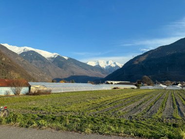 Bereketli yeşil tarım arazileri, arka planda birden fazla sera ve karla kaplı dağları olan sakin bir vadi, açık mavi bir gökyüzünün altında, kırsal bir alanda kurulmuştur.