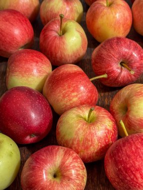 Kırsal ahşap bir yüzeye yerleştirilmiş taze toplanmış kırmızı ve sarı elmalar, sonbahar hasadını, doğal ürünleri ve sağlıklı besinleri sembolize ediyor..