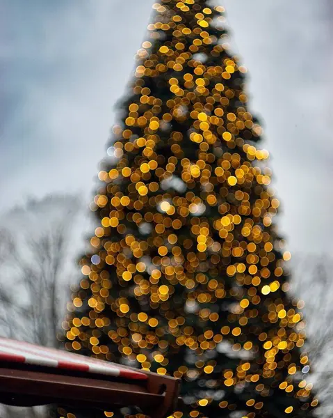 Noel Ağacı Bokeh 'i. 2024 Noel Kutlama Konsepti