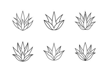 aloe vera çizgi sanat vektörü çizimi