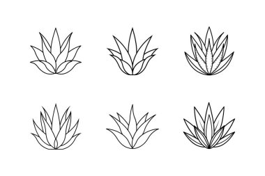 aloe vera simge çizgisi resim çizimi