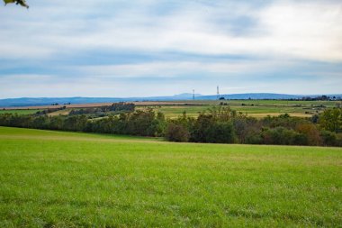 Yeşil Çek tarlaları ve mavi gökyüzü, sonbahar öğleden sonra. Yüksek kalite fotoğraf