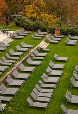 Çek Cumhuriyeti 'nin Karlovy Vary kentindeki termal banyolarda yeşil çimlerde güneşlenen sonbahar avlusu. Yüksek kalite fotoğraf