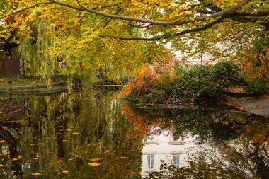 Çek parkındaki ağaçların arasında, temiz suyla birlikte sonbahar gölü. Yüksek kalite fotoğraf