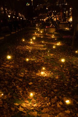 Yanan ateşböcekleriyle dolu bir park sokağı. Danimarka 'nın Tivoli Bahçeleri' nde Noel ağaçları ve parlak ışıklar var. Yüksek kalite fotoğraf