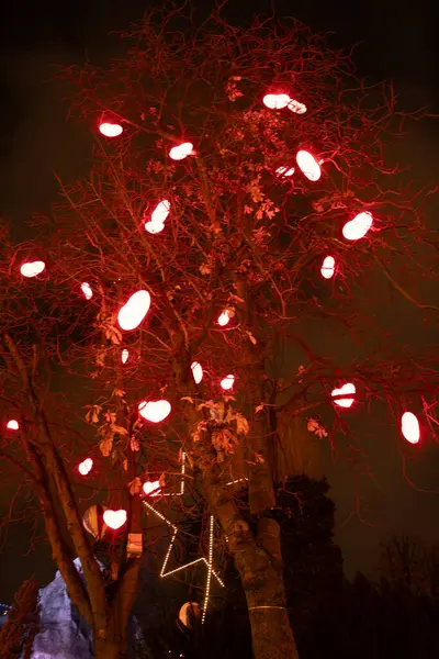 Yeni yıl kurulumu, dallarında kırmızı kalpler olan ağaç Danimarka 'daki bir Noel parkında. Yüksek kalite fotoğraf