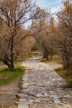 Yunanistan 'ın başkenti Atina' daki Dağ 'a Mermer Yol. Yüksek kalite fotoğraf