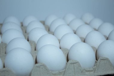 Beyaz arka planda beyaz yumurta tepsisi. Yüksek kalite fotoğraf