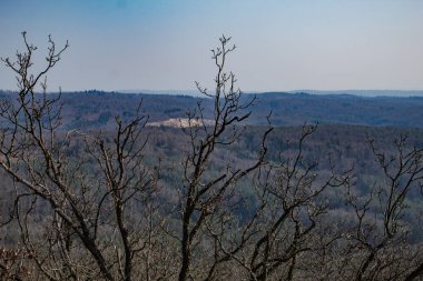 Ufukta ağaç dalları, Çek dağları, gri gökyüzü, Çek doğası, bahar. Yüksek kalite fotoğraf
