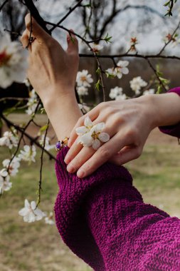 Çek bahçelerinde kadınların ellerinde badem çiçekleri açar. Yüksek kalite fotoğraf