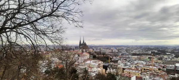 Çek Cumhuriyeti 'nin Brno şehrinin en üst manzarası, gri bir gökyüzünün arka planına karşı, sonbahar. Yüksek kalite fotoğraf