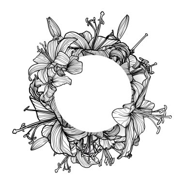 El çizimi vektör çizgisi, kaplan zambakları. Beyaz arka planda beyaz bir daire altında gruplandırılmış yaz çiçekleri.. 