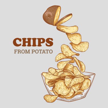 El yapımı vektör kenarlı cips. Patatesten kaseye. Ana hatlarıyla çıtır çıtır cipsler, farklı gruplar halinde detaylar. Bu varlık kullanıma hazır ve düzenlenmesi kolay. 
