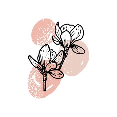 El çizimi sanat manolyaları çiçek açıyor. Bahar çiçeklerinin vektör çizimi. Bej çizilmiş arka planda güzel çiçeklerin zarif karalaması. Yazdırma ve çevrimiçi tasarımlar için grafik varlıkları.