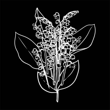 Vadi çiçekleri çiçek ve yapraklarla el çizimi zambaklar. Siyah arka planda izole edilmiş güzel kış çiçeklerinin beyaz çizgileri. Çevrimiçi ve yazdırma projeleri için resim.