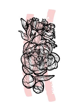 A4, A3, Peony buket çizgisi, çizilmiş el çizimi. Güzel ve zarif siyah ve pembe bahar çiçekli sanat baskısı. Çevrimiçi ve yazdırma için son derece detaylı ve yüksek kalitede grafik değeri.