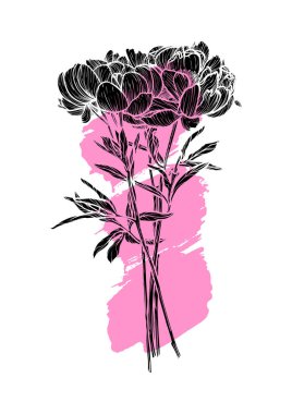 A4, A3, Peony vektör el çizimi. Üzerinde pembe çizim işareti olan zarif siyah çiçekli sanat baskısı. Çevrimiçi ve yazdırmak için oldukça detaylı ve yüksek kalitede grafiksel varlık. Satır yok sadece doldur.